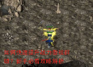 如何快速提升战力傲视群雄?新手必看攻略解析 如何快速提升战力傲视群雄?新手必看攻略解析
