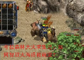 考拉森林大火求生记:如何智取火海拯救萌宠? 考拉森林大火求生记:如何智取火海拯救萌宠?