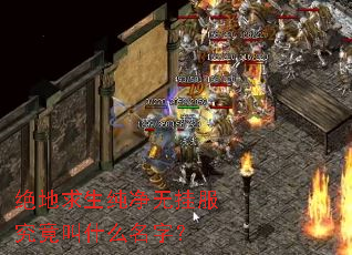 绝地求生纯净无挂服究竟叫什么名字? 绝地求生纯净无挂服究竟叫什么名字?