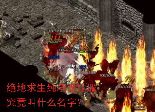 绝地求生纯净无挂服究竟叫什么名字? 绝地求生纯净无挂服究竟叫什么名字?