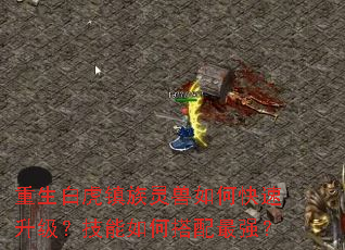 重生白虎镇族灵兽如何快速升级?技能如何搭配最强? 重生白虎镇族灵兽如何快速升级?技能如何搭配最强?