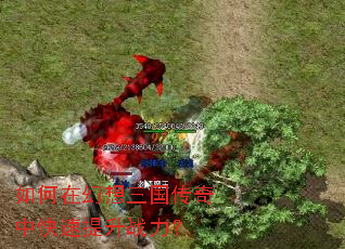 ����ڻ������������п�������ս����