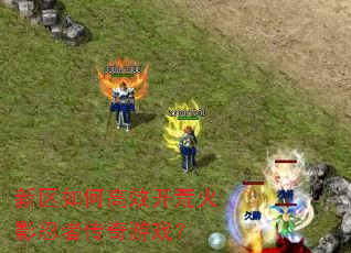 新区如何高效开荒火影忍者传奇游戏? 新区如何高效开荒火影忍者传奇游戏?