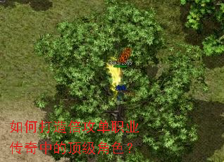 如何打造倍攻单职业传奇中的顶级角色? 如何打造倍攻单职业传奇中的顶级角色?