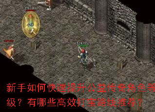 新手如何快速提升公益传奇角色等级?有哪些高效打宝路线推荐? 新手如何快速提升公益传奇角色等级?有哪些高效打宝路线推荐?
