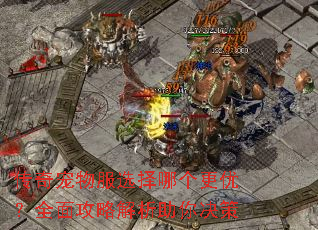 传奇宠物服选择哪个更优?全面攻略解析助你决策 传奇宠物服选择哪个更优?全面攻略解析助你决策