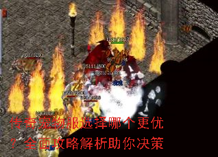 传奇宠物服选择哪个更优?全面攻略解析助你决策 传奇宠物服选择哪个更优?全面攻略解析助你决策
