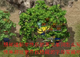想知道新年快乐的英文单词怎么写吗?快来游戏里寻找隐藏的字母宝藏吧? 想知道新年快乐的英文单词怎么写吗?快来游戏里寻找隐藏的字母宝藏吧?