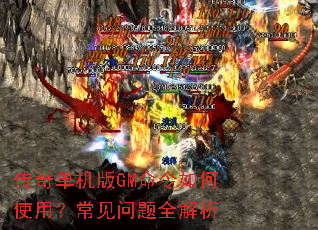 ���浥����GM�������ʹ�ã���������ȫ����