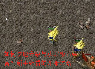 如何快速升级与获取极品装备?新手必看的开服攻略 如何快速升级与获取极品装备?新手必看的开服攻略