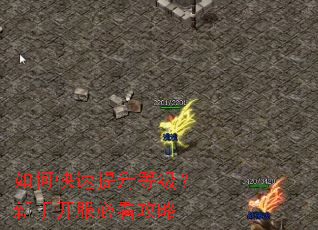 如何快速提升等级?新手开服必看攻略 如何快速提升等级?新手开服必看攻略