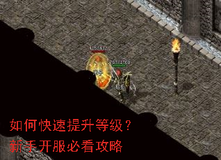 如何快速提升等级?新手开服必看攻略 如何快速提升等级?新手开服必看攻略