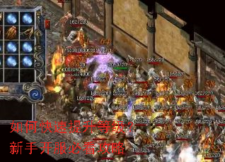 如何快速提升等级?新手开服必看攻略 如何快速提升等级?新手开服必看攻略