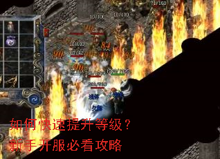 如何快速提升等级?新手开服必看攻略 如何快速提升等级?新手开服必看攻略