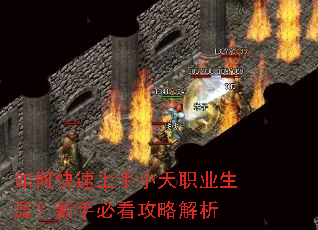 如何快速上手小天职业生涯?新手必看攻略解析 如何快速上手小天职业生涯?新手必看攻略解析