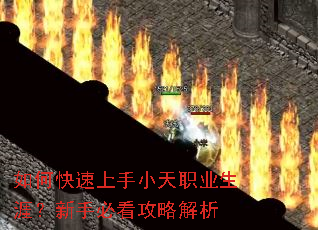 ��ο�������С��ְҵ���ģ����ֱؿ����Խ���