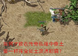 如何才能在传奇私服中像土豪一样挥金如土潇洒称霸? 如何才能在传奇私服中像土豪一样挥金如土潇洒称霸?