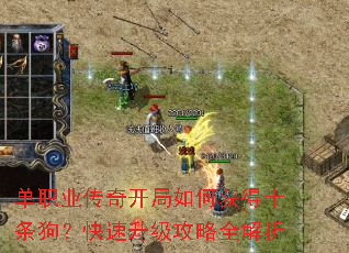 单职业传奇开局如何获得十条狗?快速升级攻略全解析 单职业传奇开局如何获得十条狗?快速升级攻略全解析