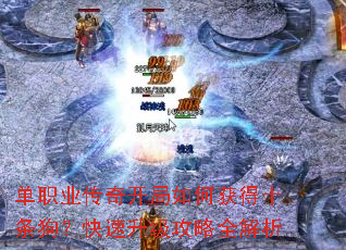 单职业传奇开局如何获得十条狗?快速升级攻略全解析 单职业传奇开局如何获得十条狗?快速升级攻略全解析