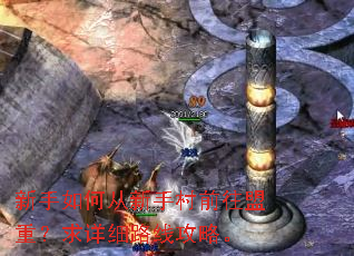 新手如何从新手村前往盟重?求详细路线攻略。 新手如何从新手村前往盟重?求详细路线攻略。