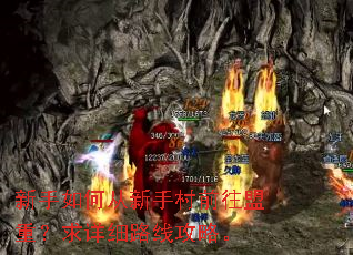 新手如何从新手村前往盟重?求详细路线攻略。 新手如何从新手村前往盟重?求详细路线攻略。