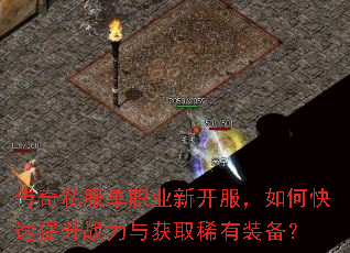 传奇私服单职业新开服,如何快速提升战力与获取稀有装备? 传奇私服单职业新开服,如何快速提升战力与获取稀有装备?