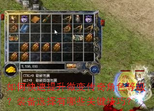 如何快速提升微变传奇角色等级?装备选择有哪些关键技巧? 如何快速提升微变传奇角色等级?装备选择有哪些关键技巧?