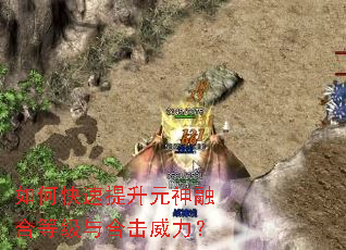 如何快速提升元神融合等级与合击威力? 如何快速提升元神融合等级与合击威力?