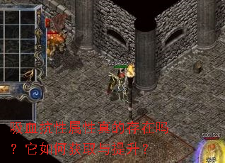 吸血抗性属性真的存在吗?它如何获取与提升? 吸血抗性属性真的存在吗?它如何获取与提升?
