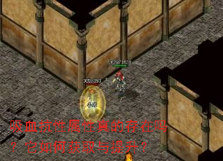 吸血抗性属性真的存在吗?它如何获取与提升? 吸血抗性属性真的存在吗?它如何获取与提升?