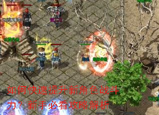 如何快速提升新角色战斗力?新手必看攻略解析 如何快速提升新角色战斗力?新手必看攻略解析