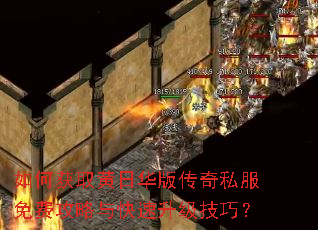 ��λ�ȡ���ջ��洫��˽����ѹ���������������ɣ�