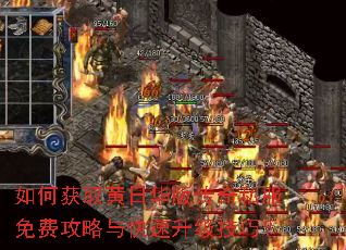��λ�ȡ���ջ��洫��˽����ѹ���������������ɣ�
