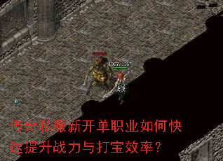 传奇私服新开单职业如何快速提升战力与打宝效率? 传奇私服新开单职业如何快速提升战力与打宝效率?